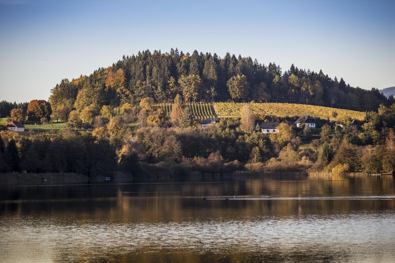 Sankt Georgen am LängseeWeingut Georgium住宿加早餐旅馆 外观 照片
