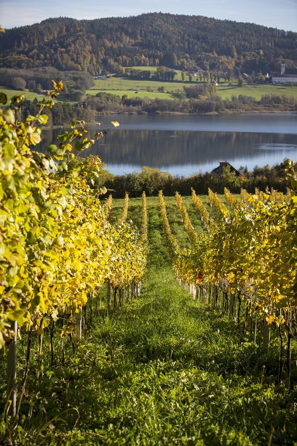 Sankt Georgen am LängseeWeingut Georgium住宿加早餐旅馆 外观 照片